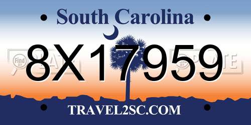 8X17959 South Carolina License Plate