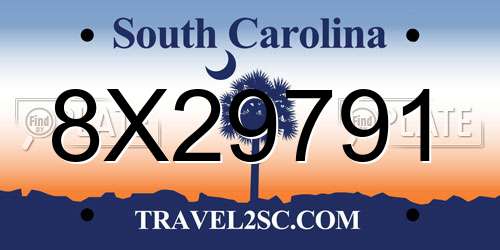 8X29791 South Carolina License Plate