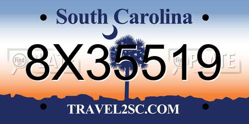 8X35519 South Carolina License Plate