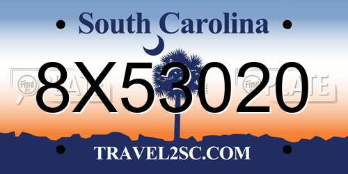 8X53020 South Carolina License Plate