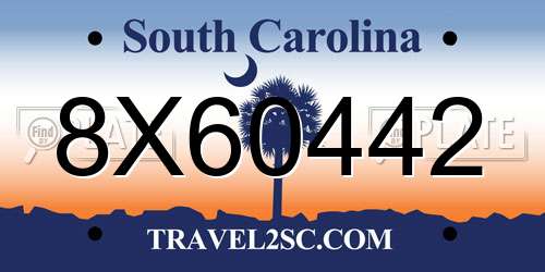 8X60442 South Carolina License Plate