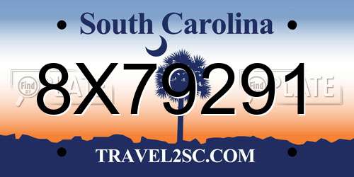 8X79291 South Carolina License Plate