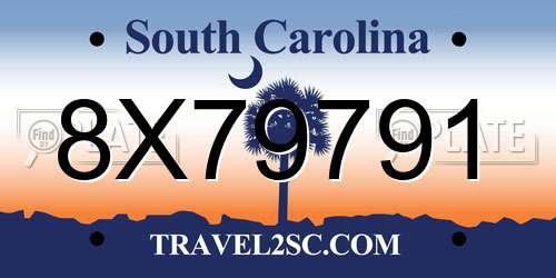 8X79791 South Carolina License Plate
