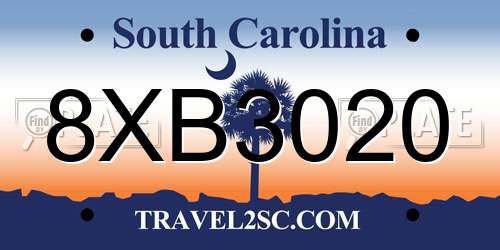 8XB3020 South Carolina License Plate