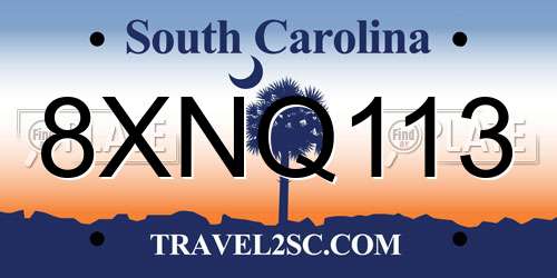8XNQ113 South Carolina License Plate