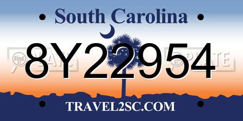 8Y22954 South Carolina License Plate