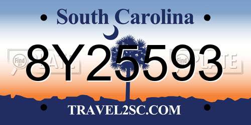 8Y25593 South Carolina License Plate