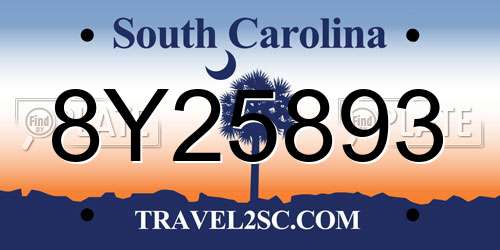 8Y25893 South Carolina License Plate