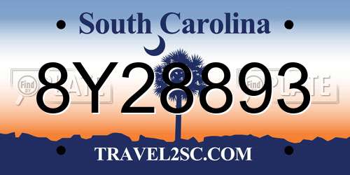 8Y28893 South Carolina License Plate