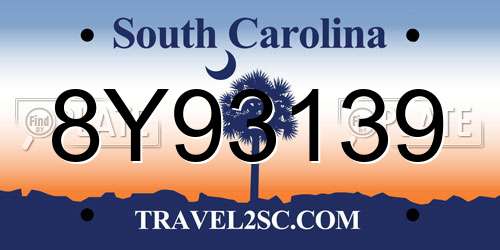 8Y93139 South Carolina License Plate