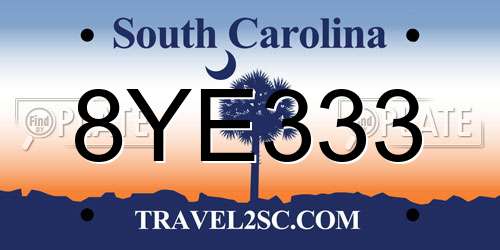 8YE333 South Carolina License Plate