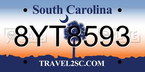 8YT8593 South Carolina License Plate