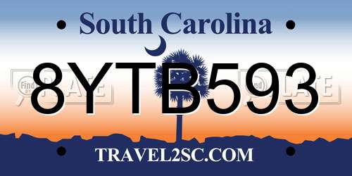 8YTB593 South Carolina License Plate