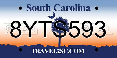 8YTS593 South Carolina License Plate