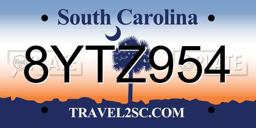 8YTZ954 South Carolina License Plate