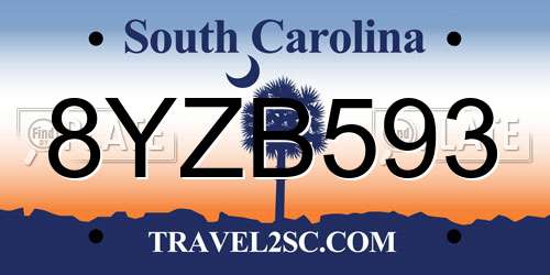 8YZB593 South Carolina License Plate