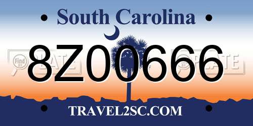 8Z00666 South Carolina License Plate