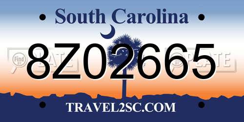 8Z02665 South Carolina License Plate
