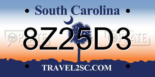 8Z25D3 South Carolina License Plate