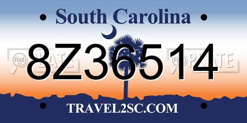 8Z36514 South Carolina License Plate