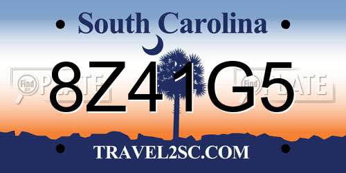 8Z41G5 South Carolina License Plate