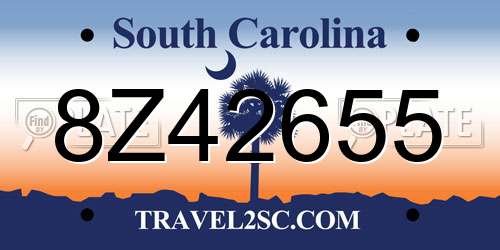 8Z42655 South Carolina License Plate