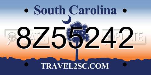8Z55242 South Carolina License Plate
