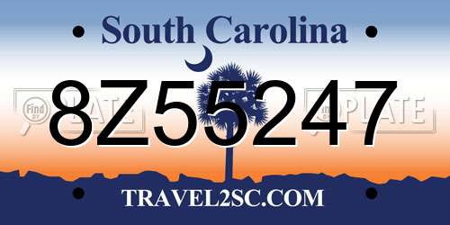 8Z55247 South Carolina License Plate