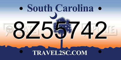 8Z55742 South Carolina License Plate