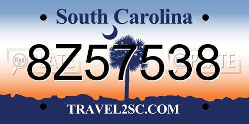 8Z57538 South Carolina License Plate