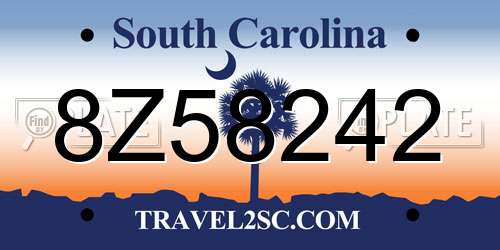 8Z58242 South Carolina License Plate