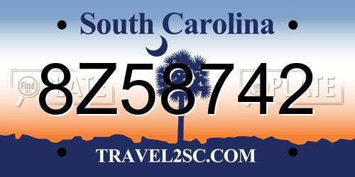8Z58742 South Carolina License Plate