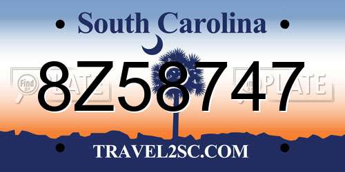 8Z58747 South Carolina License Plate