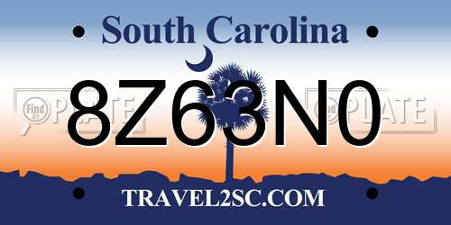 8Z63N0 South Carolina License Plate