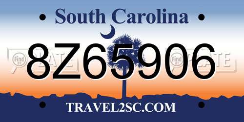 8Z65906 South Carolina License Plate