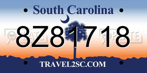 8Z81718 South Carolina License Plate