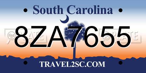 8ZA7655 South Carolina License Plate
