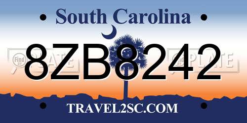 8ZB8242 South Carolina License Plate