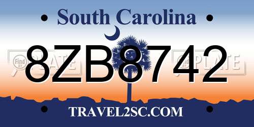 8ZB8742 South Carolina License Plate