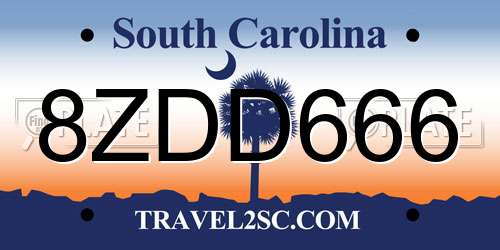 8ZDD666 South Carolina License Plate