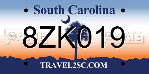 8ZK019 South Carolina License Plate
