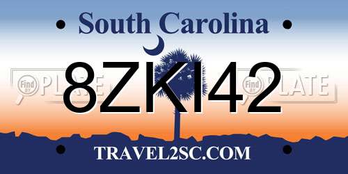 8ZKI42 South Carolina License Plate
