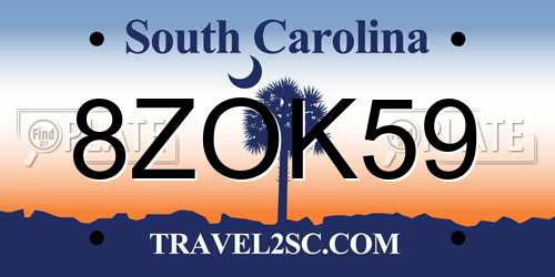 8ZOK59 South Carolina License Plate