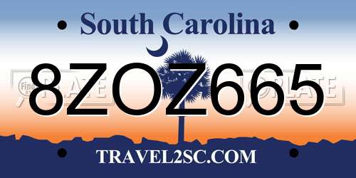 8ZOZ665 South Carolina License Plate