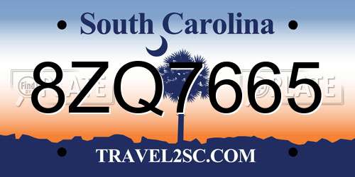 8ZQ7665 South Carolina License Plate
