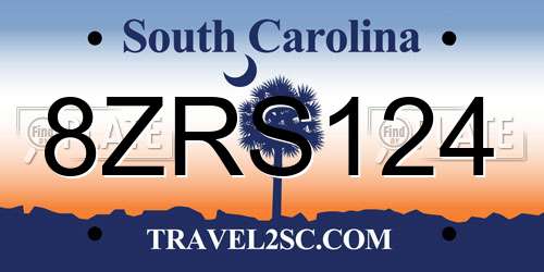 8ZRS124 South Carolina License Plate