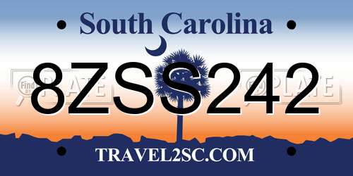 8ZSS242 South Carolina License Plate