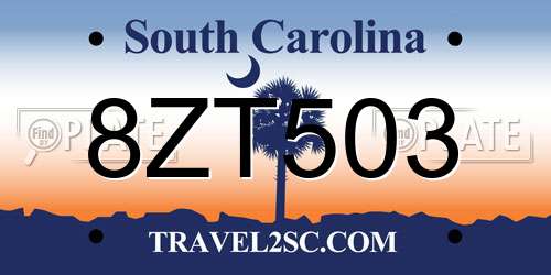 8ZT503 South Carolina License Plate