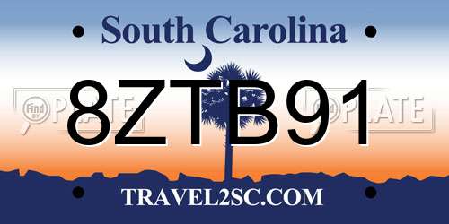 8ZTB91 South Carolina License Plate