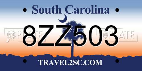 8ZZ503 South Carolina License Plate